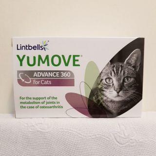 英國Lintbells優骼服YUMOVE ADVANCE 360 for Cats 超強版60顆~現貨
