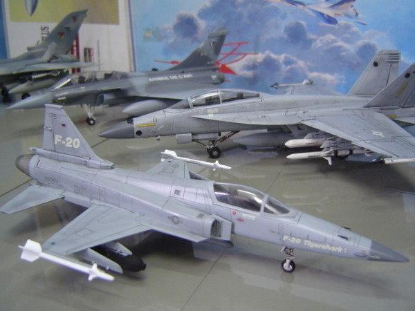 請勿下標  F-20 戰鬥機　　模型成品　F-5Eㄉ超級升級版[F-20]