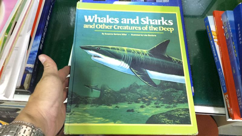 Whales and sharks and other creatures of the deep 英語童書繪本 49V
