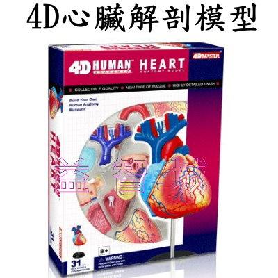 益智城《教學人體模型/器官模型/人體解剖模型/DIY模型/生物學/心臟模型/生物/4D Master 》4D心臟解剖模型