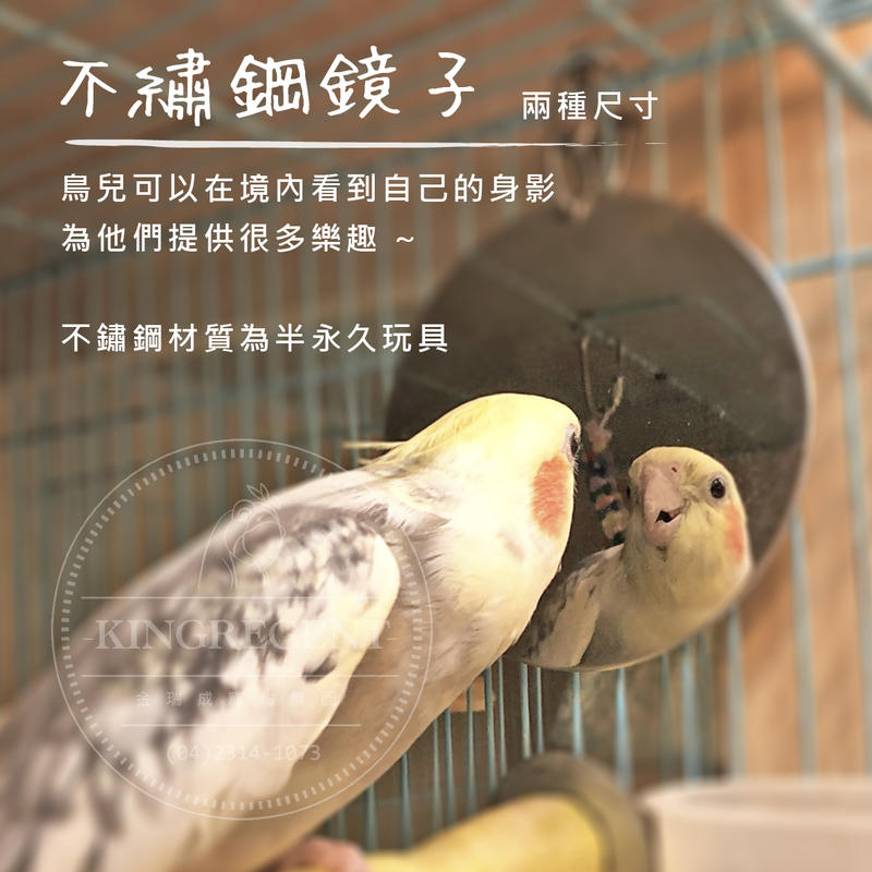 金瑞成鳥園->鸚鵡陪伴不鏽鋼鏡子/讓您的鳥寶不再孤單、不生鏽、安全/適合小至大型鸚鵡