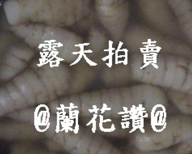 (問)@蘭花讚@ 葛鬱金 粉薯 食用竹芋 Maranta arundinacea 中藥材 日本太白粉的原料
