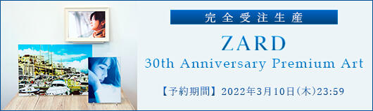 代訂Musing 完全受注生産ZARD 30th Anniversary Premium Art 壓克力藝術收藏品| 露天市集| 全台最大的網路購物市集