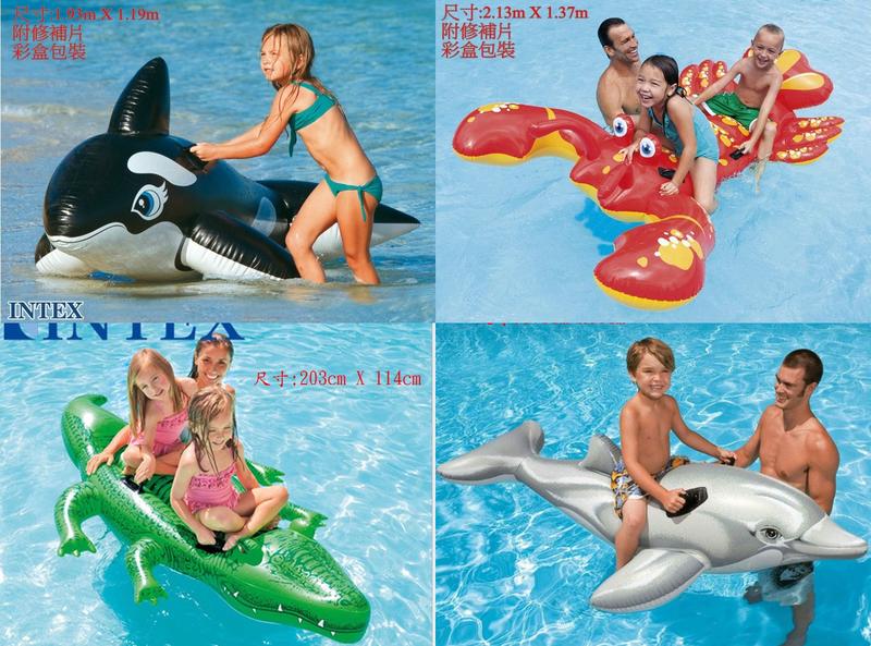 [現貨] 美國 INTEX 座騎泳圈 動物造型 兒童泳圈 泳具 浮具