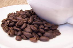 【城市咖啡廣場】咖啡豆 450g 香草森林 義式豆 特調