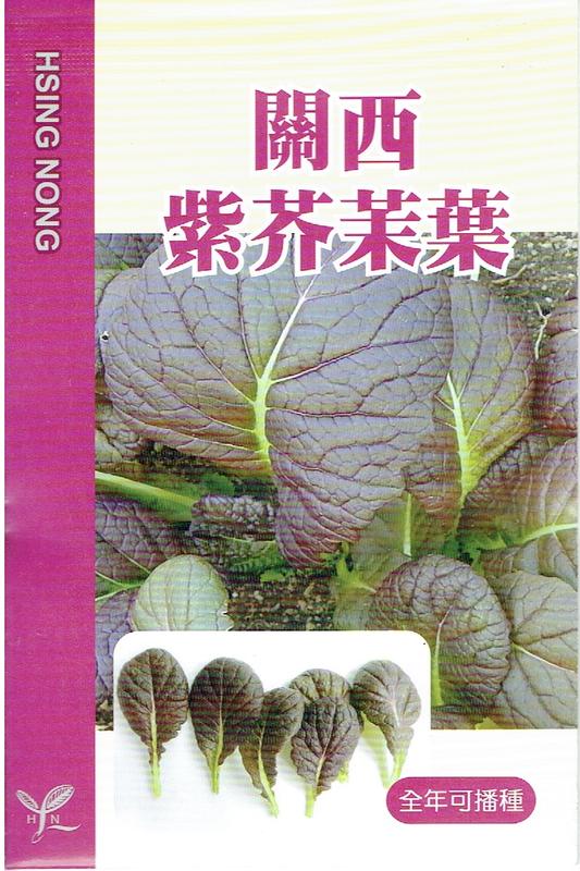 尋花趣 關西紫芥茉葉 興農牌蔬果種子 每包約3公克 可生食 全年可播種