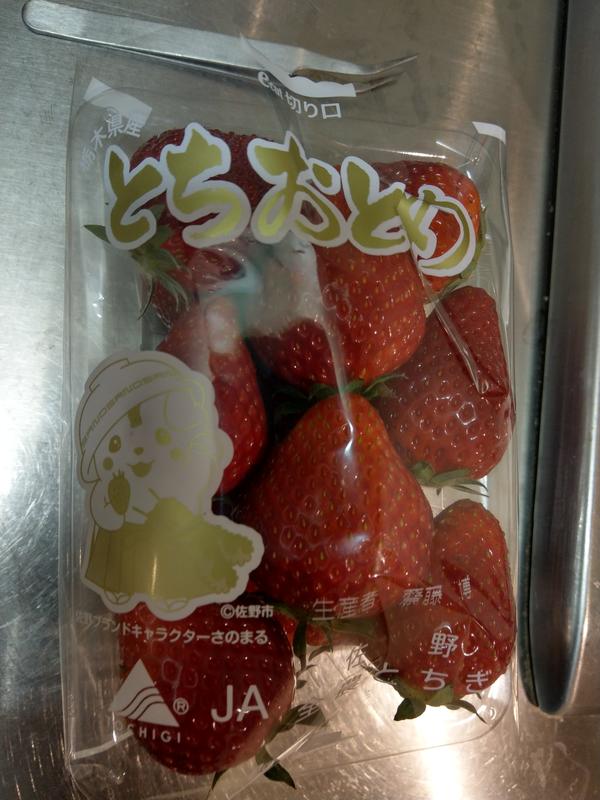 日本草莓.草莓苗.栃木 栃乙女 (とちおとめ)草莓種子