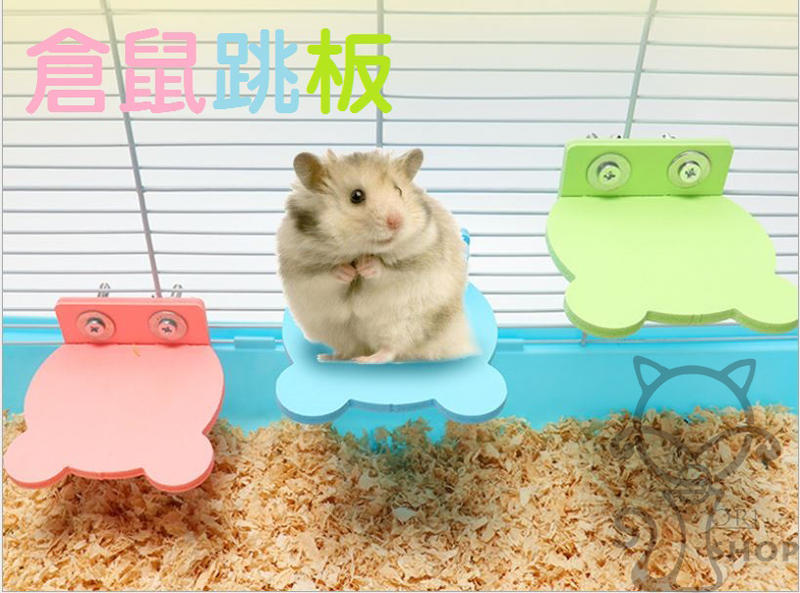 倉鼠玩具 倉鼠跳板 彩色跳板 磨牙 生態板 寵物鼠 三線鼠 楓葉鼠 銀狐 布丁鼠 天竺鼠[Ori Shop] 
