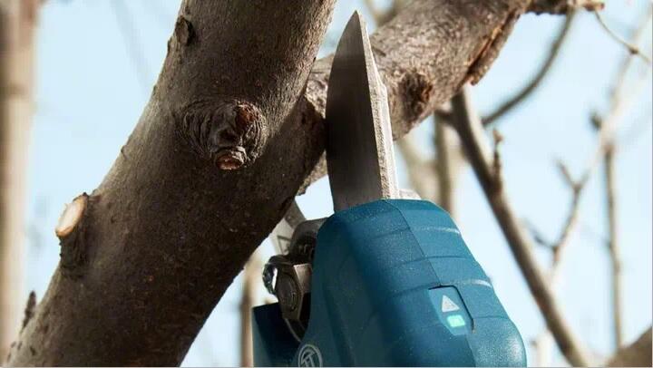 【電筒魔】全新 公司貨 BOSCH 博世 PRO PRUNER 12V 充電式 修枝剪 果樹剪枝機 (單機) | 露天市集 | 全台最大的網路購物市集