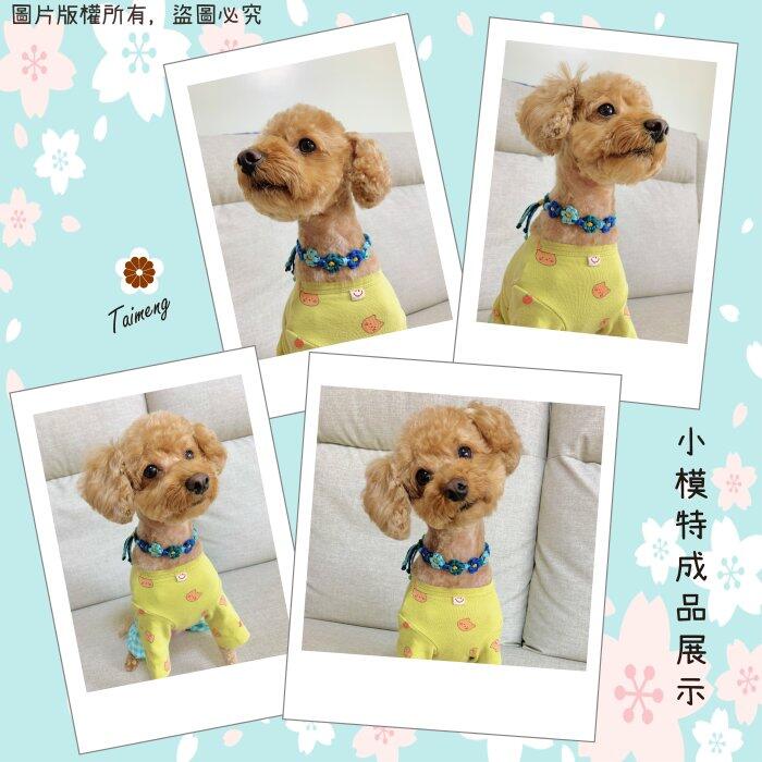 台孟牌 馬編繩 2mm 92色 專用 色卡 台灣製造 清楚對色 Macrame 流蘇 手機吊飾 棉線 小花編織 花朵雛菊