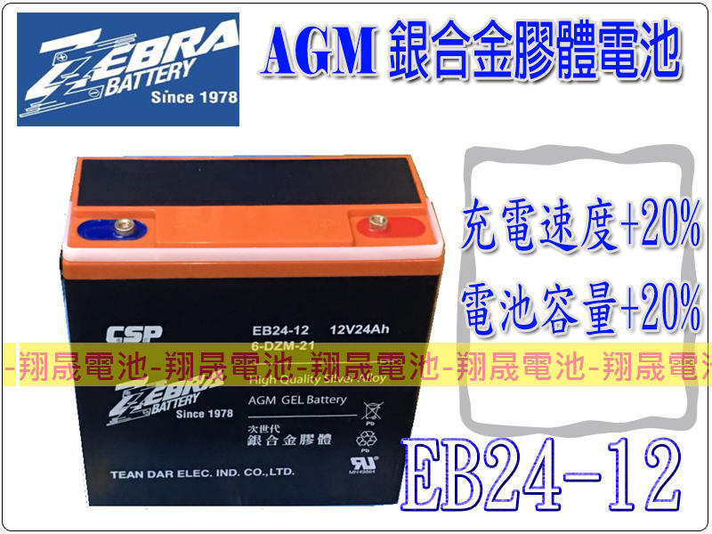 彰化員林翔晟電池-全新ZEBRA銀合金AGM電動車電池EB24-12(12V24AH)/6-DZM-20加強