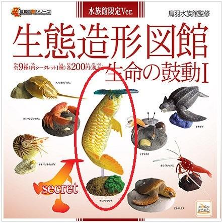 金龍魚(紅龍) Korokoro 生態造型圖館 生命的鼓動(全新, 附蛋紙)