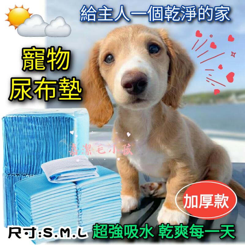⭕台灣出貨  (超取3包)無香業務型寵物尿布墊  狗尿布墊 保潔墊  看護墊  產後床墊