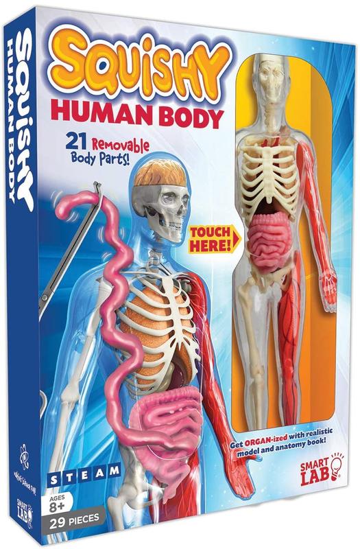 現貨 美國帶回 認識人體 肌肉 玩具組合 人體解剖模型套裝玩具 益智玩具