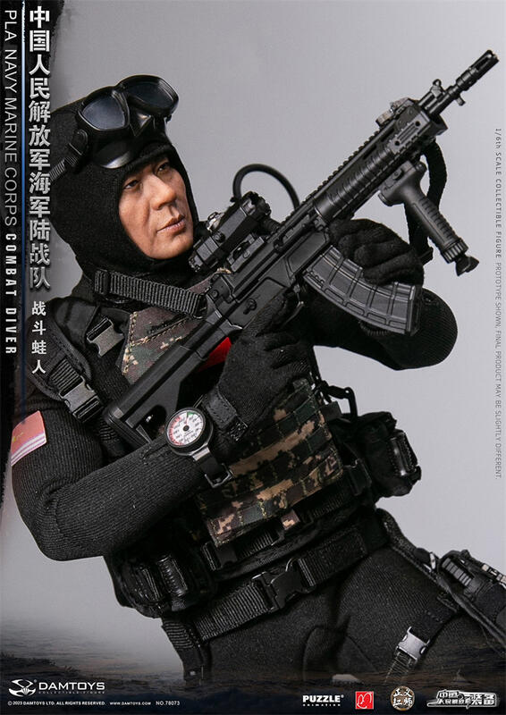 Amazon.co.jp: DAMTOYS 1/6 中国人民解放軍 海軍陸戦隊 戦闘蛙人