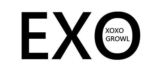 售/ EXO  XOXO  狼與美女  GROWL 咆哮  專輯海報