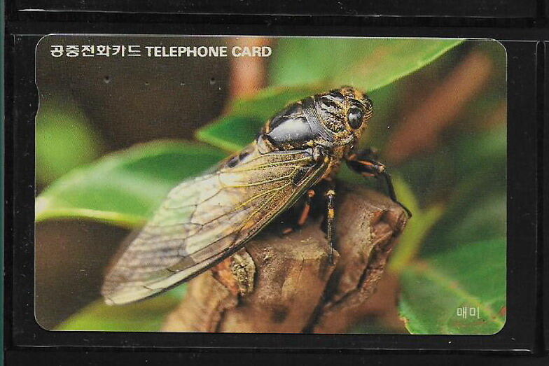 各類型卡 韓國卡片  蟬電話卡  K-002-03 - (昆蟲專題)