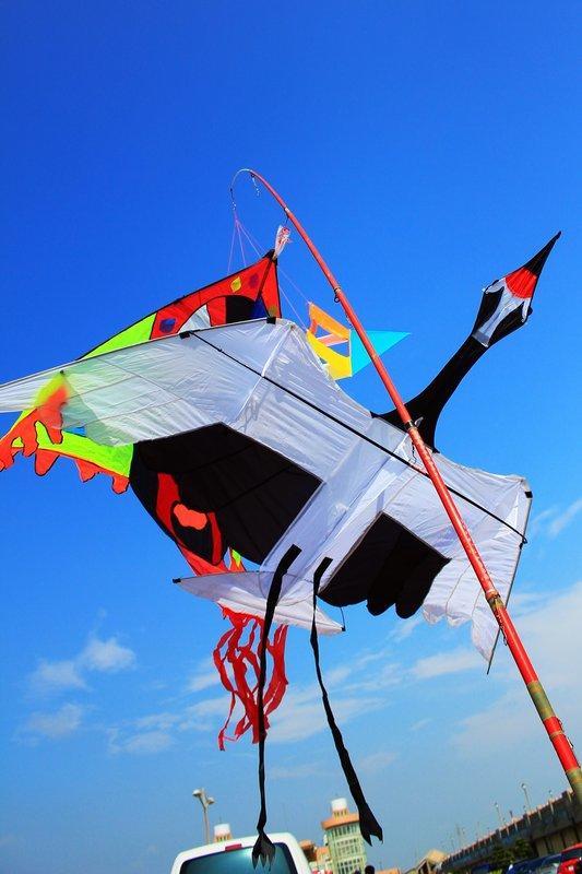 【風箏小舖】三米 大 仙鶴 風箏-碳纖維骨架 傘布 造型 風箏 鳥類 立體風箏 2~5級風力