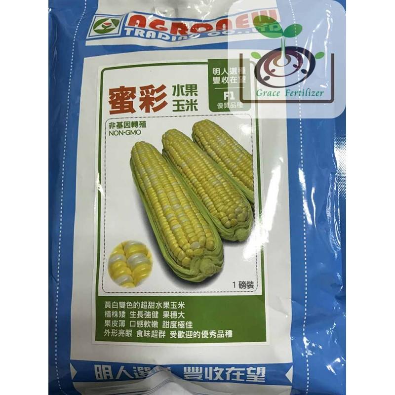 [禾康肥料] 蜜彩水果玉米種子 / 20g 包裝