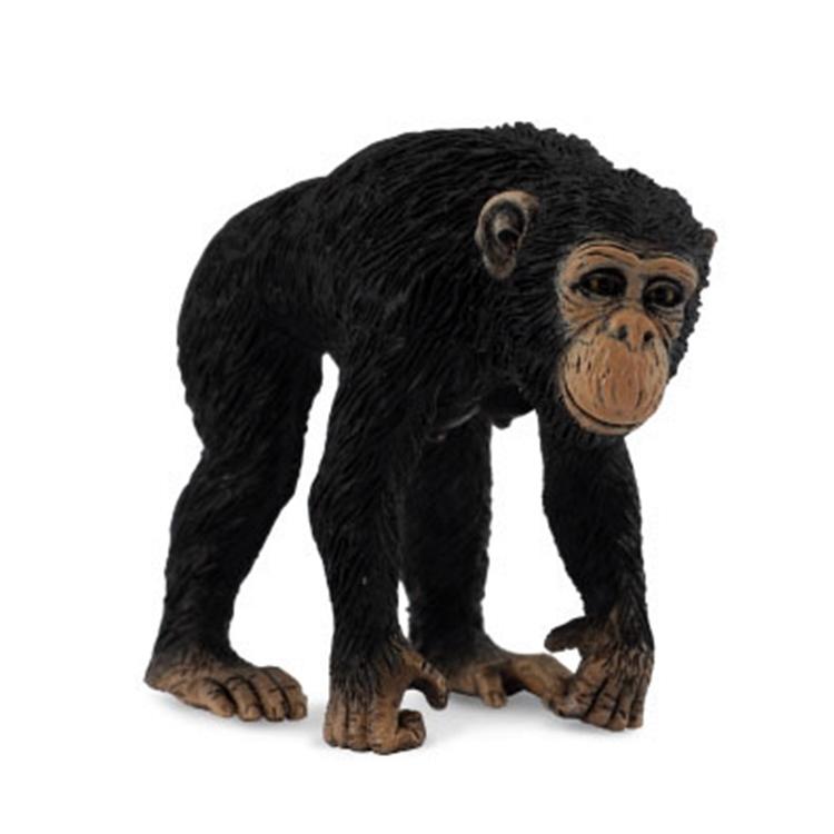 【阿LIN】88493A 全新正版COLLECTA 動物模型玩具 迷你黑猩猩