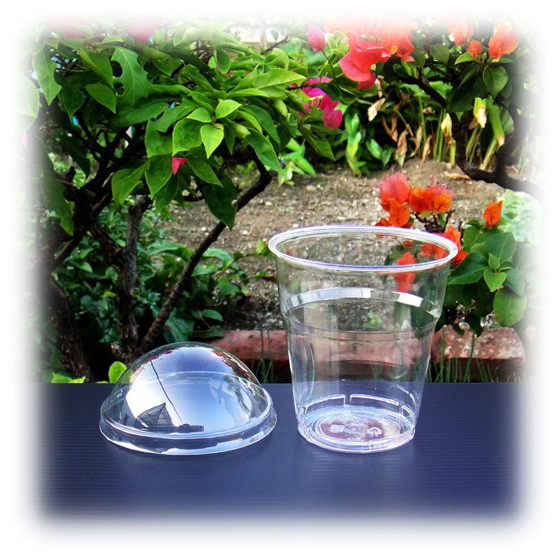 ✿蝕草小舖✿ 食蟲植物 2吋盆小溫室杯