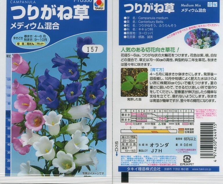 【花之鄉小舖】進口高級日本花卉種子--大花風鈴花  美蒂-混合色