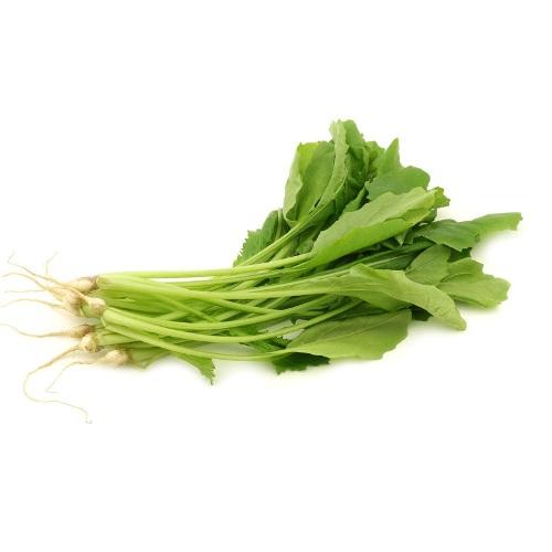葉用蕪菁種子~Turnip Greens~頂級營養蔬菜，含豐富礦物質與維生素A