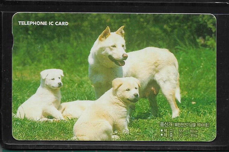 各類型卡 韓國卡片  名犬電話卡  K-006-07 - (動物專題)