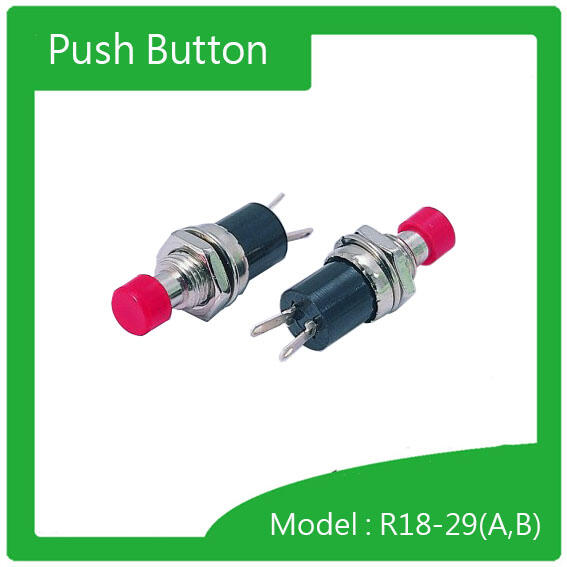 Push 按鍵式開關(R18-29)