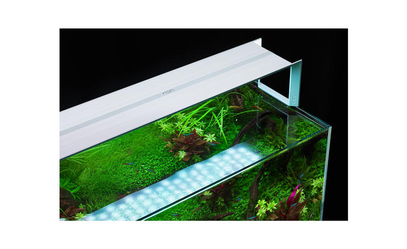 ◎ 水族之森◎日本ADA RGB 60 LED 燈具水草造景/培育專用( 銀) 新登場