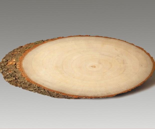 純天然香樟木年輪片 橢圓形香樟木片 實木樁樹樁 雕刻燙印 厚度1.5CM
