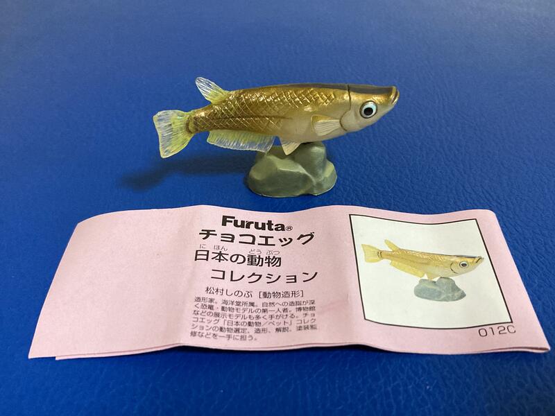 [玩具DNA] 海洋堂 Choco Q 日本的動物 1.2.3彈精選集(012C)鱂魚※附彈紙.不附蛋殼.