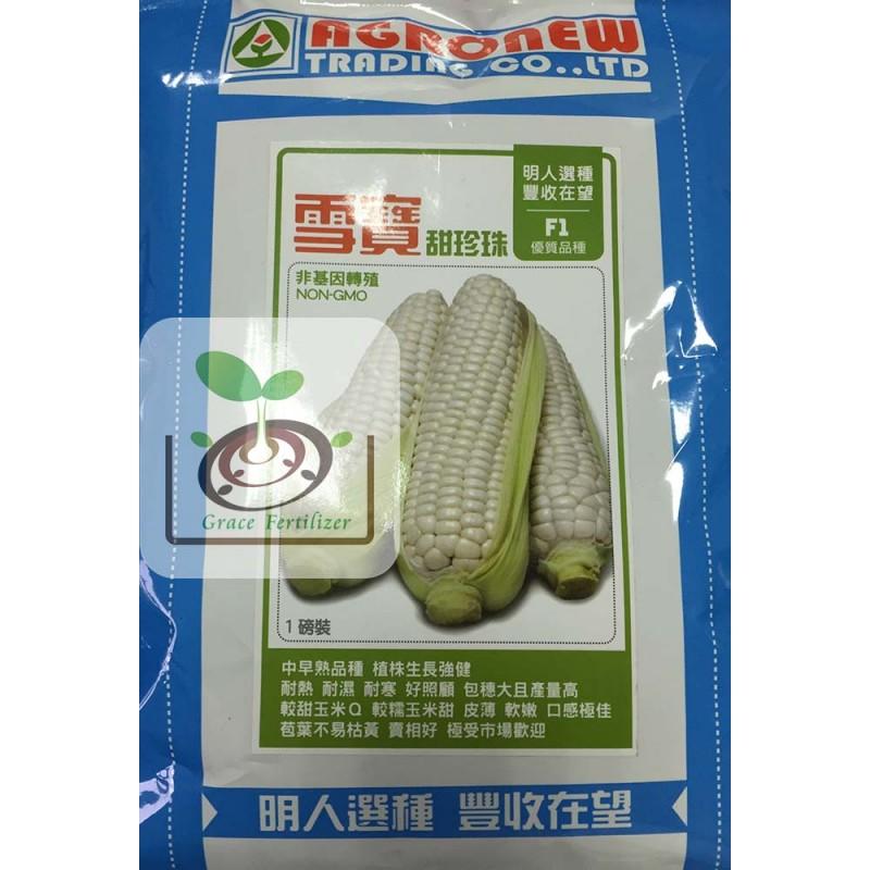 [禾康肥料] 雪寶甜珍珠玉米種子 / 453g(1磅) 包裝