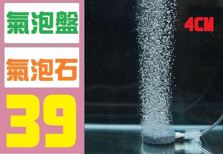 【三峽好吉市】水族 氣泡石 氣泡盤 打氣機 打氣 水管 水妖精 玻璃魚缸 2尺 3尺