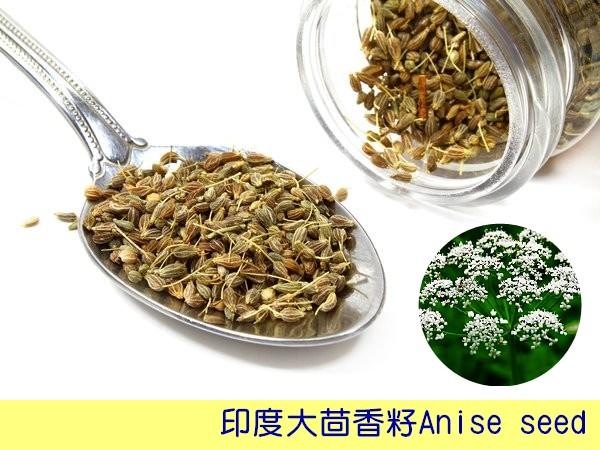 【歐洲菜籃子】印度 Anise seed 大茴香籽/ 洋茴香/茴芹 100克(分裝) ，烘焙、燉菜調味