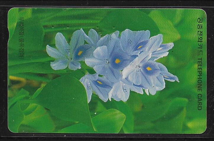 各類型卡 韓國卡片 花卉電話卡  K-008-42 - (植物專題)