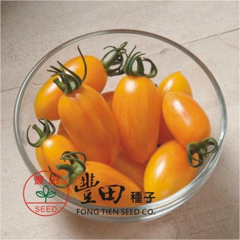【野菜部屋~】L46 206條紋蕃茄種子10粒 , 亮黃帶紅條紋 , 口味酸甜 , 蕃茄味道濃郁 , 每包15元~