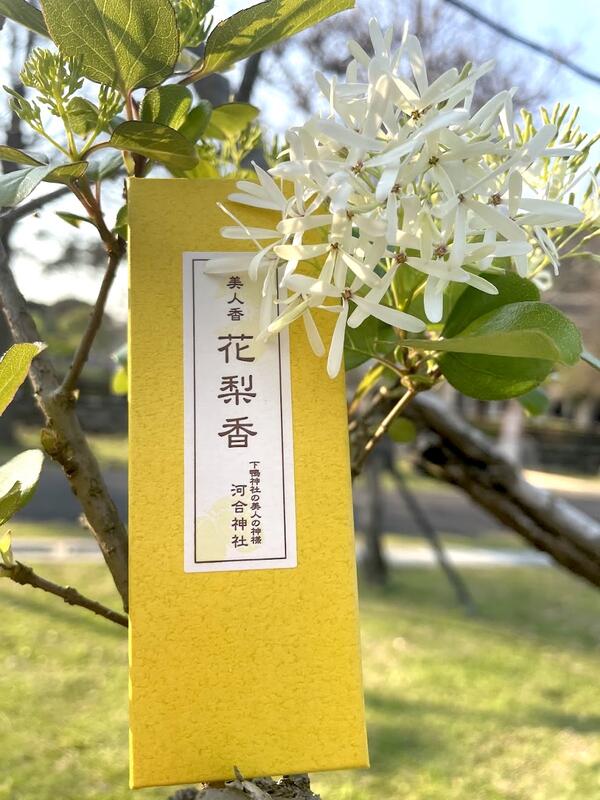 宅米的窩］美人必拜河合神社日本寺院限定香美人香花梨香整盒組/ 美人御