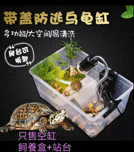 (帶蓋子)烏龜缸烏龜飼養盒角蛙爬蟲爬寵守宮水龜飼養盒可配合低水位過濾器烏龜飼料