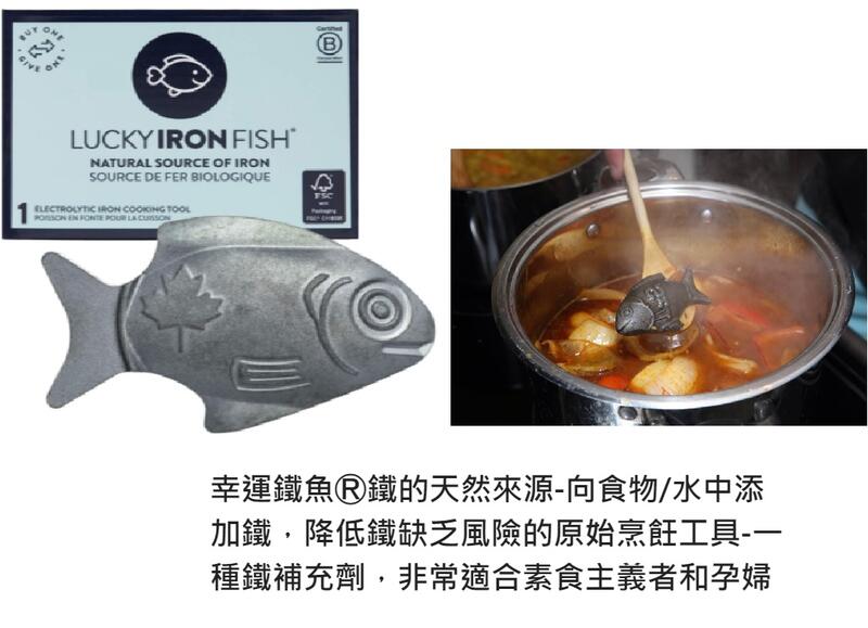 加拿大 幸運小鐵魚 Lucky Iron Fish 補鐵 貧血 缺鐵 天然鐵質補充 722083
