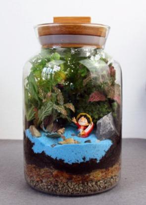 玻璃工藝品一 微景觀瓶 盆栽瓶苔蘚生態瓶 玻璃儲物罐 茶葉罐花茶罐花茶瓶玻璃糖果罐