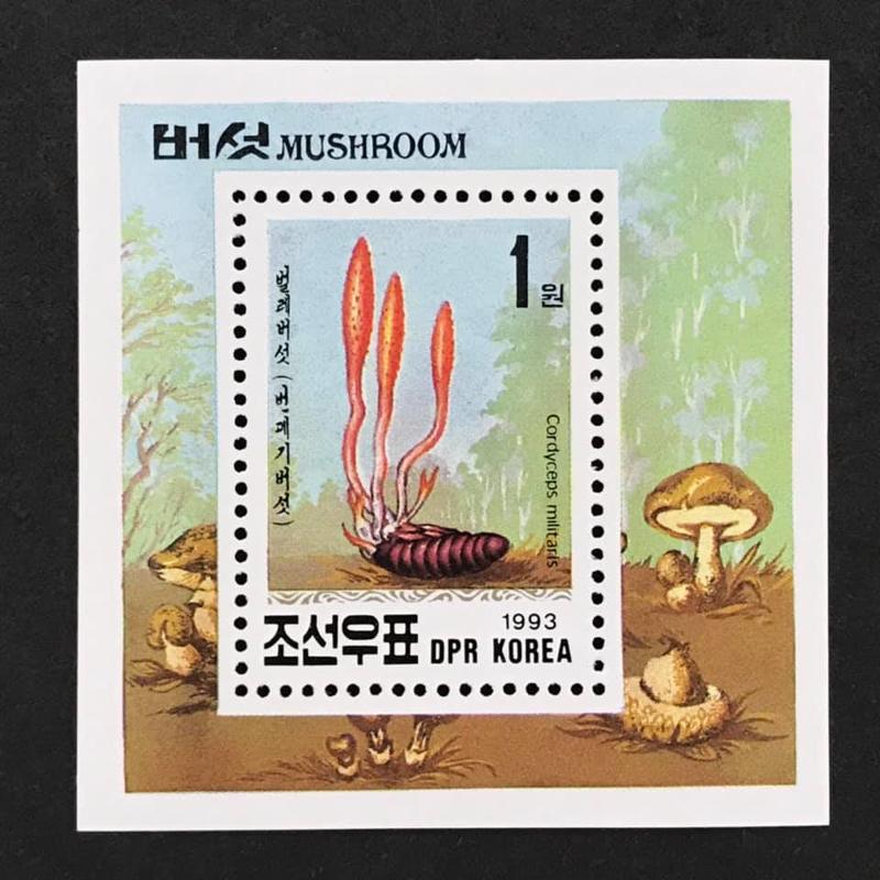 北韓 1993.01.10 #真菌植物 -小型張1全 35元