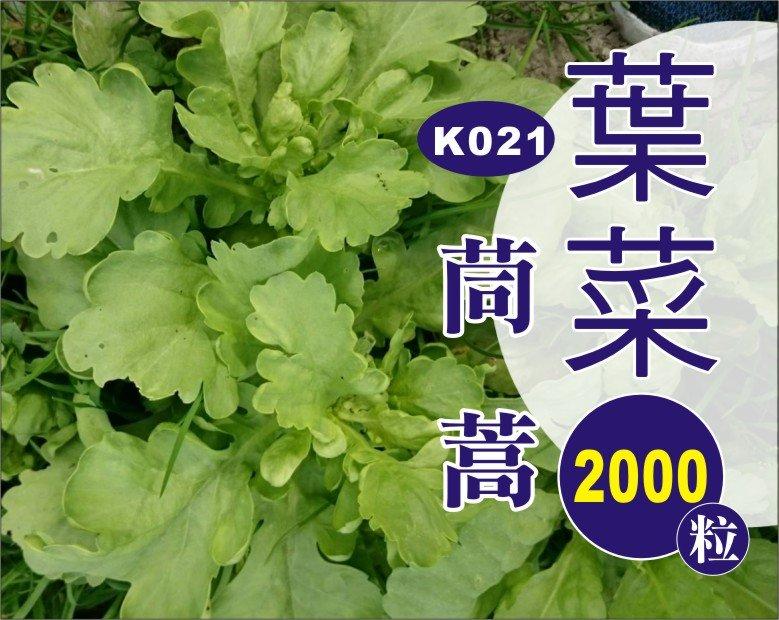 農業屋K021茼蒿 種子
