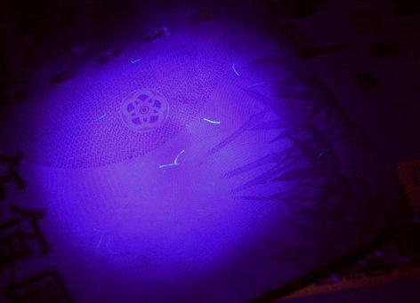 光展 5mm led UV LED紫外線 (波長390nm~410nm 驗鈔燈 UV 紫光 1.5元