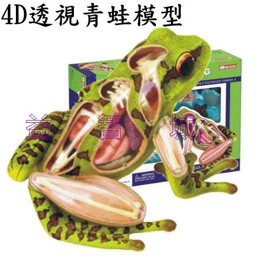 益智城《4D青蛙模型/動物模型/教學模型/生物教具玩具/DIY模型/4D蛙模型/4D Master 》4D透視青蛙模型