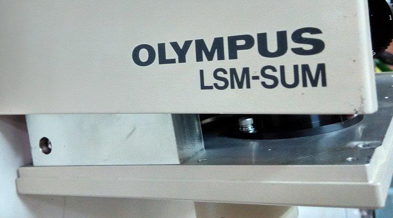 Olympus  雷射掃描顯微鏡  LSM SUM
