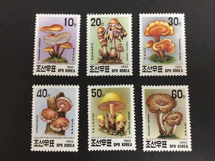 北韓 1993.01.10 #真菌植物 -套票6全 60元