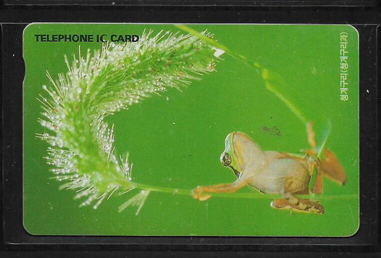 各類型卡 韓國卡片  青蛙電話卡  K-006-22 - (動物專題)