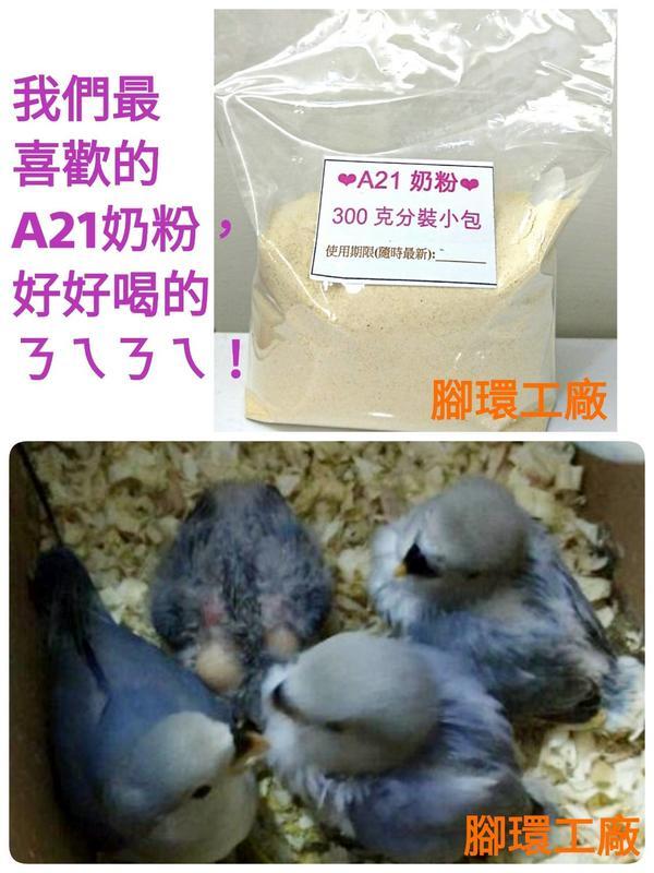 凡賽爾A21奶粉❤300g分裝包❤ 小型鸚鵡、雀科幼雛鳥適用