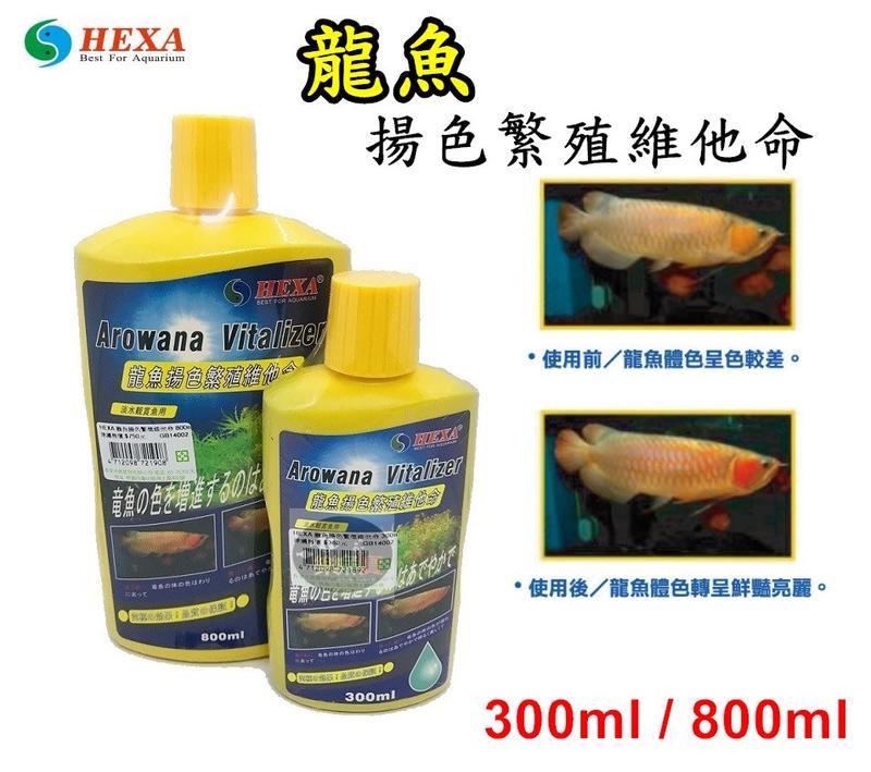 【樂魚寶】台灣HEXA海薩 - 龍魚揚色繁殖維他命 營養補充劑 增豔 800ml